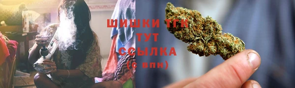 трава Богданович