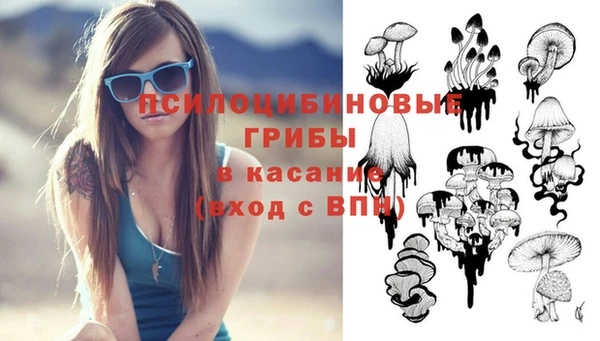 каннабис Богородицк