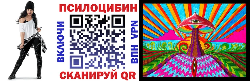 Псилоцибиновые грибы Psilocybe  Купить  Унеча 