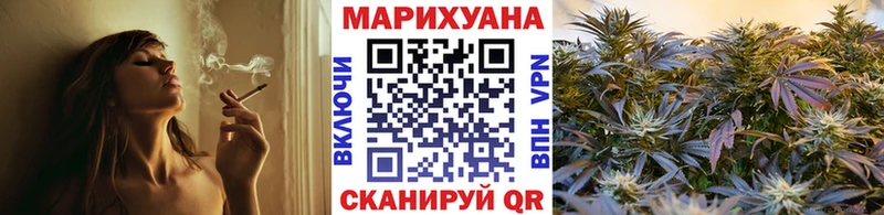 Купить где  Унеча  Бошки марихуана OG Kush 